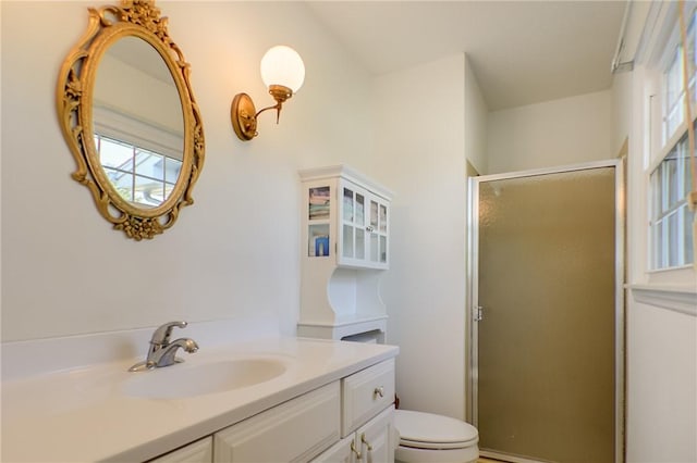 bathroom featuring vanity, a shower stall, and toilet