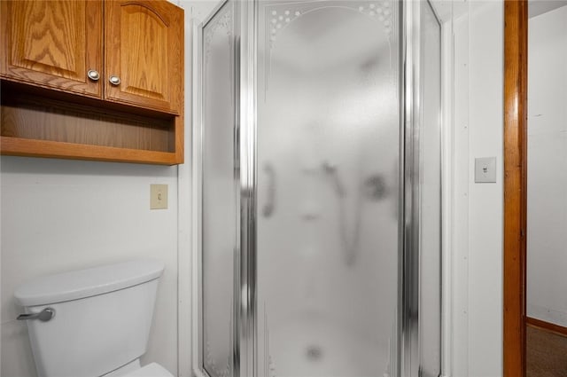 801 N Central Ave, Paris, IL 61944 - full bathroom with a shower stall and toilet