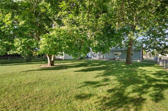 801 N Central Ave, Paris, IL 61944 - view of yard