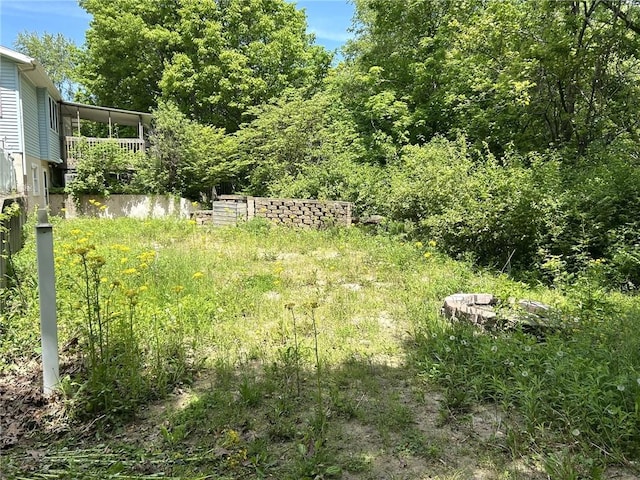 3002 N Charlotte St, Effingham, IL 62401 - view of yard