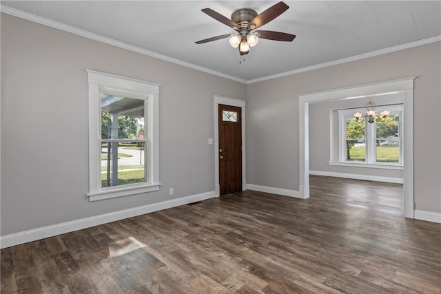 foyer entrance with ceiling fan with notable chandelier, dark hardwood / wood-style flooring, and ornamental molding