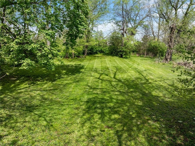 417 W Court St, Paris, IL 61944 - photo 46