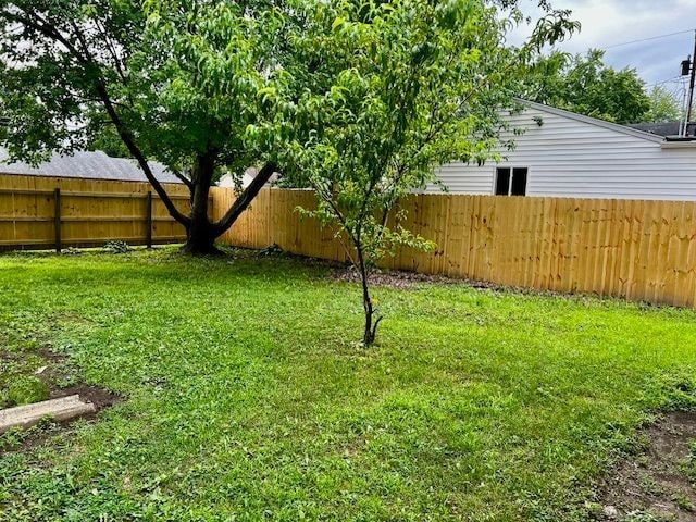 701 W Columbia St, Danville, IL 61832 - photo 18