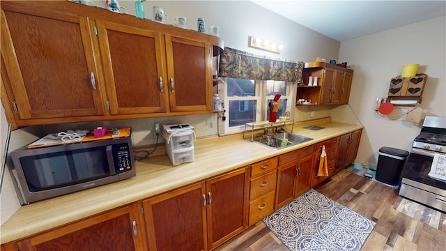 kitchen featuring dark hardwood / wood-style flooring, stainless steel appliances, and sink