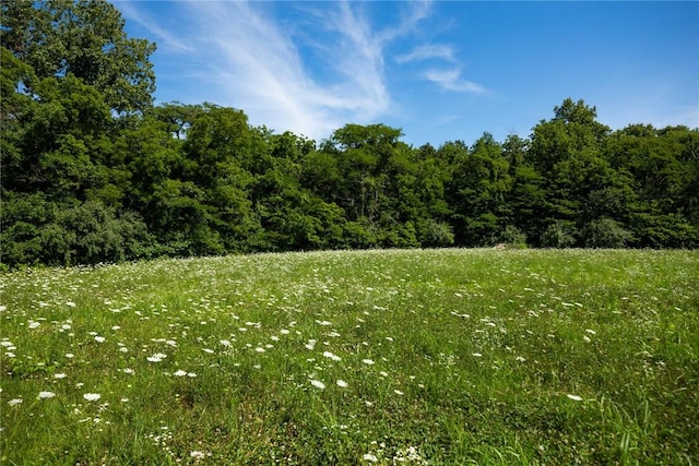 2098 2070th Ave, Saint Elmo, IL 62458 - view of nature