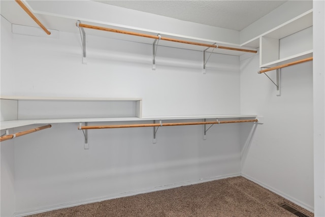 walk in closet with carpet