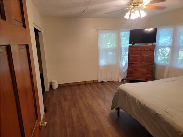 410 E Ninth St, Pana, IL 62557 - bedroom featuring multiple windows, dark wood-type flooring, and a ceiling fan