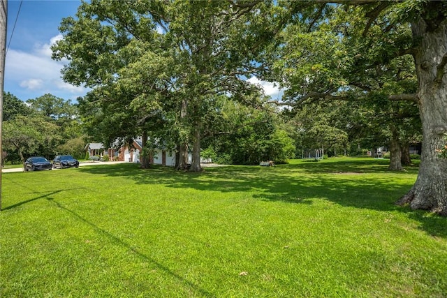 2310 Raney St, Effingham, IL 62401 - photo 11