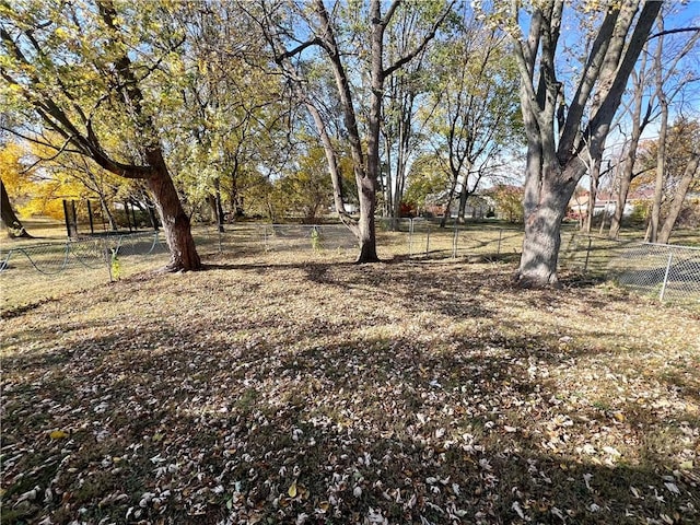 320 Bridgett St, Westville, IL 61883 - photo 25