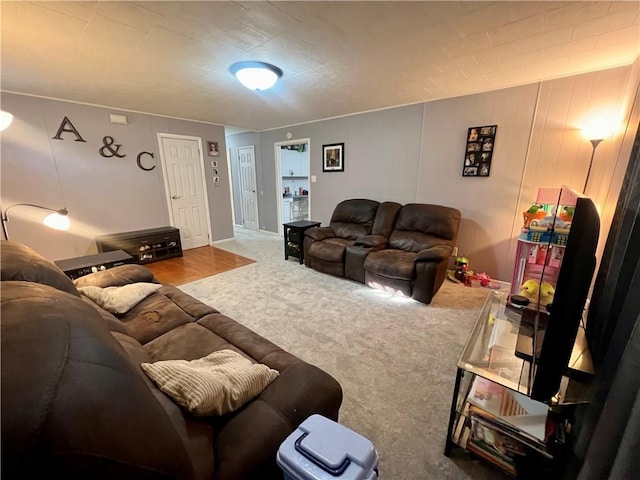 320 Bridgett St, Westville, IL 61883 - photo 8