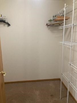 13859 Lake Jasper S Ave, Newton, IL 62448 - view of spacious closet