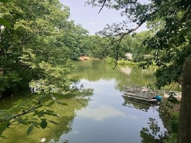 13859 Lake Jasper S Ave, Newton, IL 62448 - water view featuring a forest