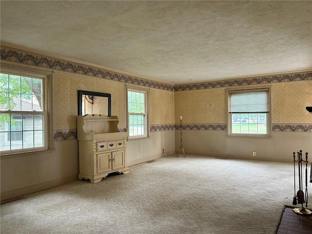8 Noyes Ct, Mattoon, IL 61938 - unfurnished room with wallpapered walls, a textured ceiling, healthy amount of natural light, light carpet, and wainscoting