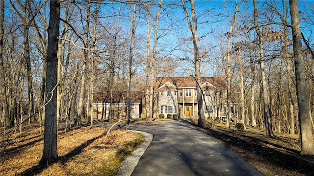 view of front of house featuring aphalt driveway