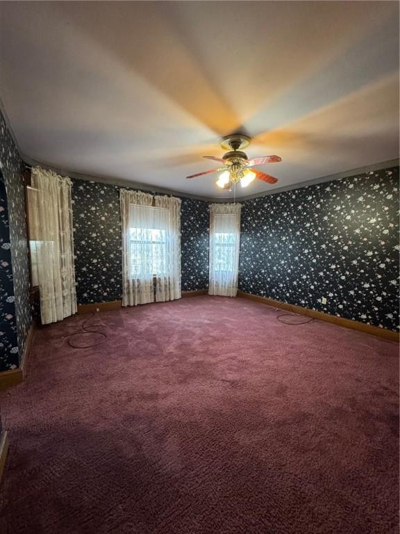 spare room with ceiling fan and carpet flooring