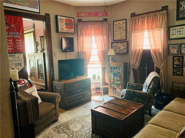 living room with a wealth of natural light