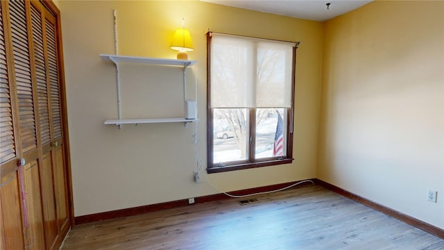 interior space featuring wood-type flooring, multiple windows, and a closet