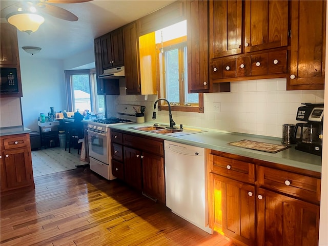 kitchen with white appliances, sink, decorative backsplash, ceiling fan, and light wood-type flooring