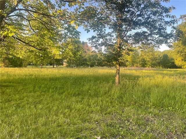 view of landscape