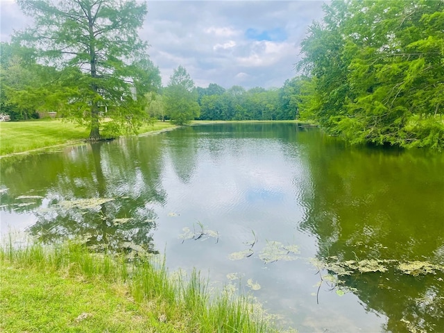 view of water feature