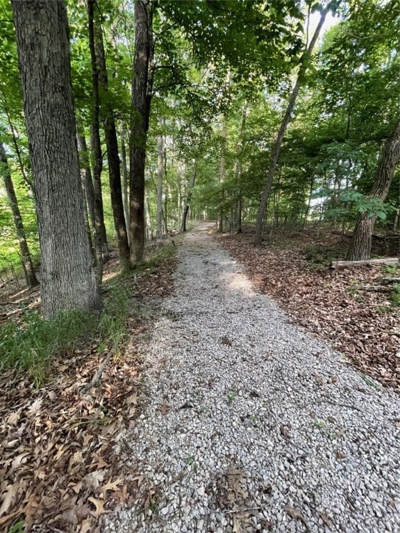 104 Woodland Dr, Marshall, IL 62441 - view of street