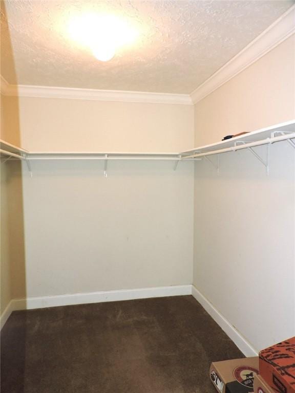 20643 1200 N Rd, Danville, IL 61834 - spacious closet featuring dark colored carpet