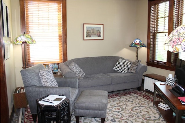 300 W N 1st St, Shelbyville, IL 62565 - living room featuring radiator