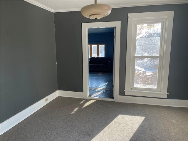 spare room featuring carpet floors and ornamental molding