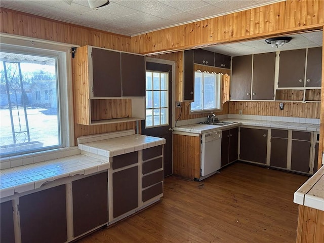 kitchen featuring a healthy amount of sunlight, white dishwasher, wood walls, a sink, and wood finished floors