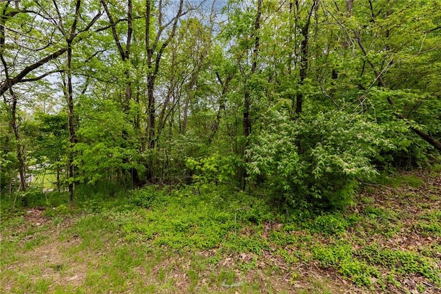 1305 S Willow St, Effingham, IL 62401