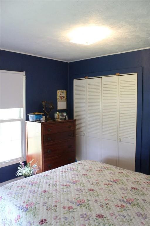 821 Broadway Ave, Windsor, IL 61957 - photo 15