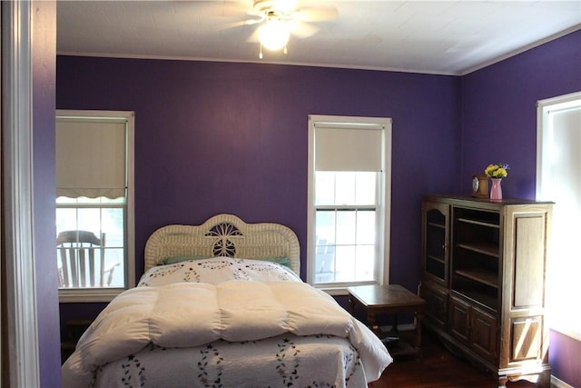 821 Broadway Ave, Windsor, IL 61957 - photo 9