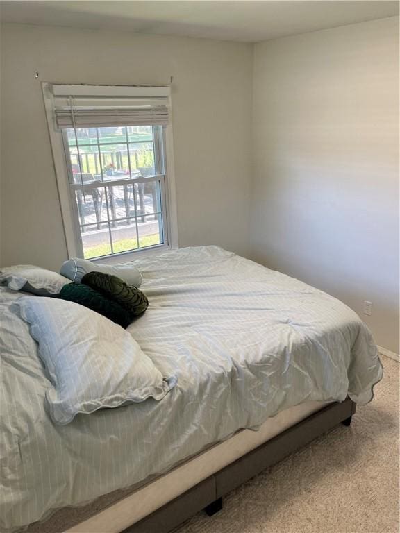 1021 W Hayes Ave, Charleston, IL 61920 - view of carpeted bedroom