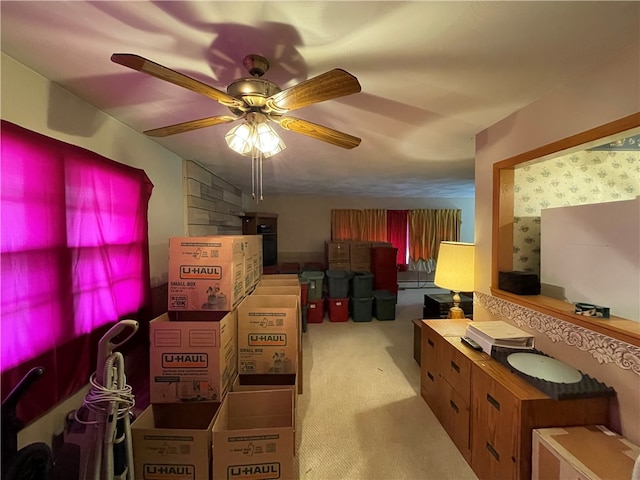 storage with ceiling fan