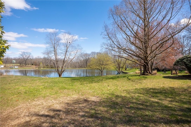 11284 E Lincolnshire Ln, Effingham, IL 62401 - view of green lawn featuring a water view