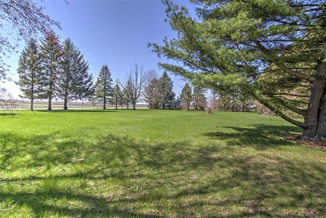 8070 Cerro Gordo Blacktop, Oakley, IL 62501 - view of yard