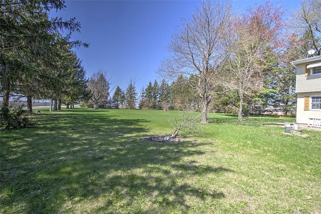 8070 Cerro Gordo Blacktop, Oakley, IL 62501 - view of yard