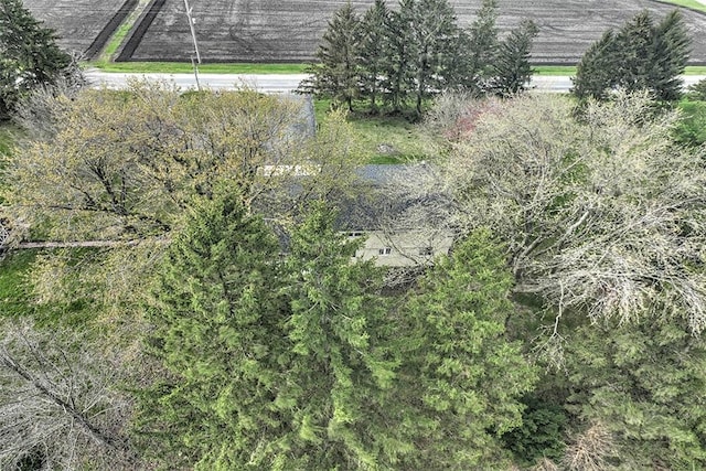8070 Cerro Gordo Blacktop, Oakley, IL 62501 - bird's eye view