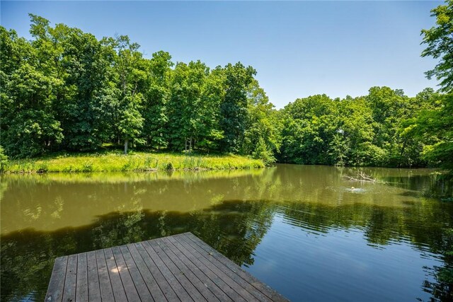 5446 N 1700th St, Dieterich, IL 62424 - dock area featuring a water view and a forest view
