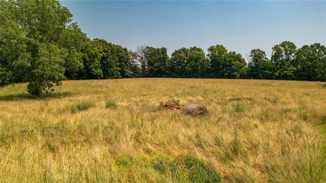 5446 N 1700th St, Dieterich, IL 62424 - view of undeveloped land featuring rural landscape