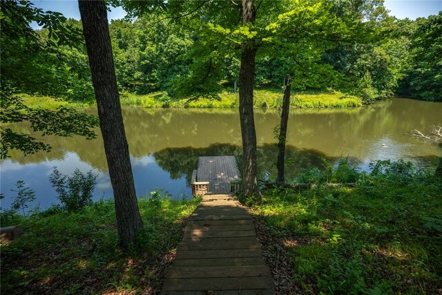 5446 N 1700th St, Dieterich, IL 62424 - dock with a water view and a forest view