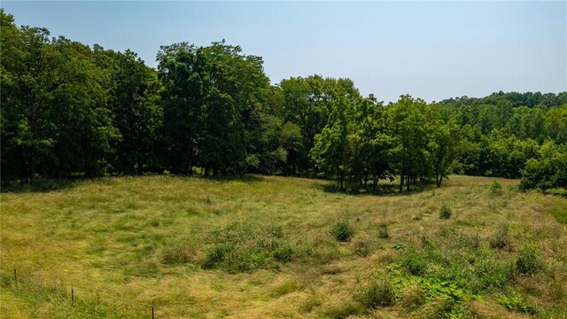 5446 N 1700th St, Dieterich, IL 62424 - view of wooded area