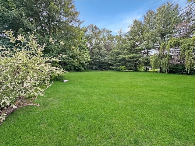 10 Rose Ln, Marshall, IL 62441 - view of grassy yard