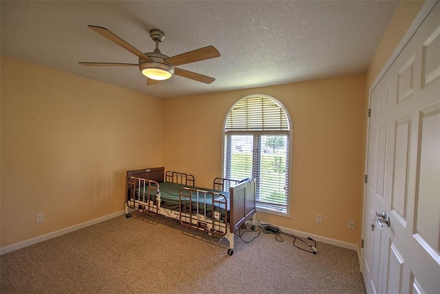 8898 Country Side Dr, Dalton City, IL 61925 - bedroom with carpet flooring and a textured ceiling