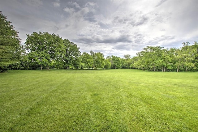8898 Country Side Dr, Dalton City, IL 61925 - view of green lawn