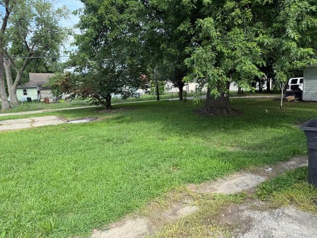 1102 N Bowman Ave, Danville, IL 61832 - photo 7