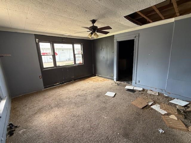 1102 N Bowman Ave, Danville, IL 61832 - photo 11