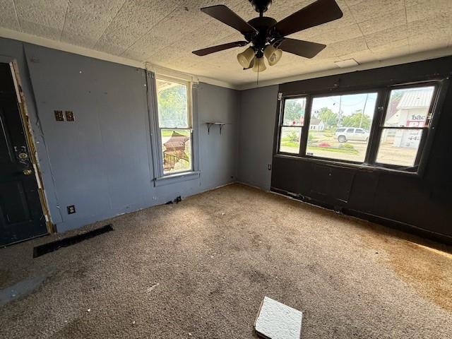 1102 N Bowman Ave, Danville, IL 61832 - photo 10