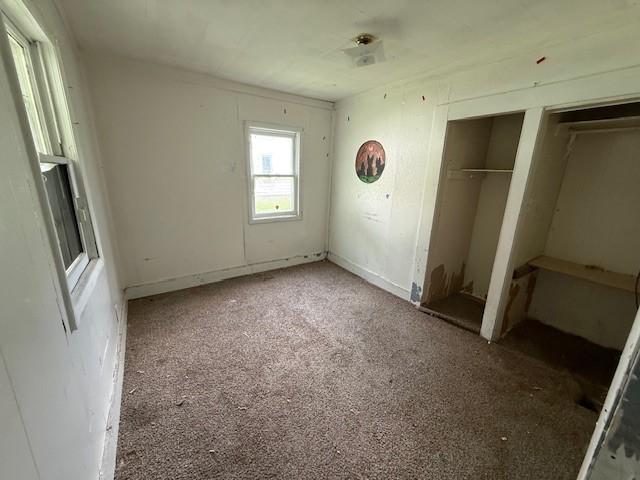 1102 N Bowman Ave, Danville, IL 61832 - photo 13