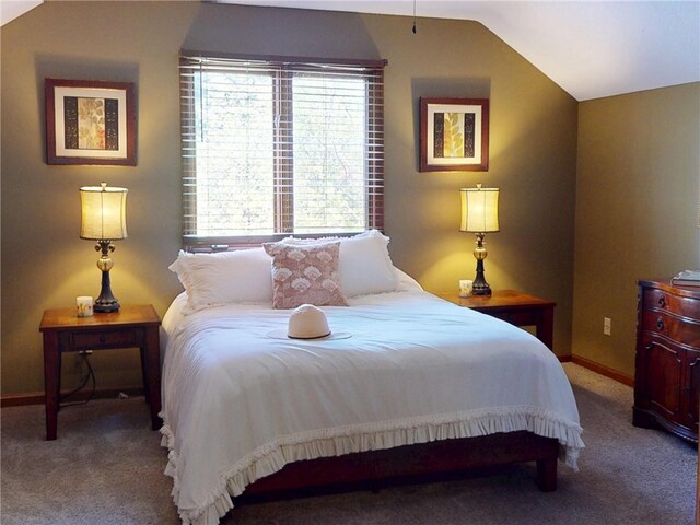 41 Lakeshore Dr, Danville, IL 61832 - photo 23
